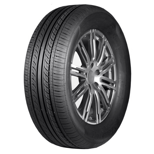 205/55 R16 DOUBLESTAR DH05 91V